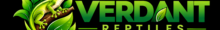 logo site