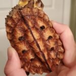 4 inch CH Mata Mata Turtles for sale (Chelus fimbriatus)-4-inch-CH-Mata-Mata-Turtles-for-sale-Chelus-fimbriatus.jpeg